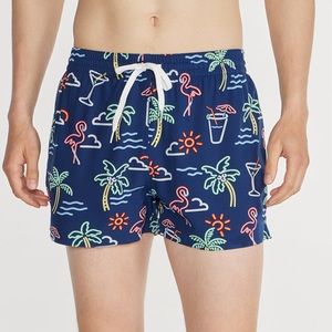 XL - the Neon lights Tropical Chubbies 4inch Swim trunks